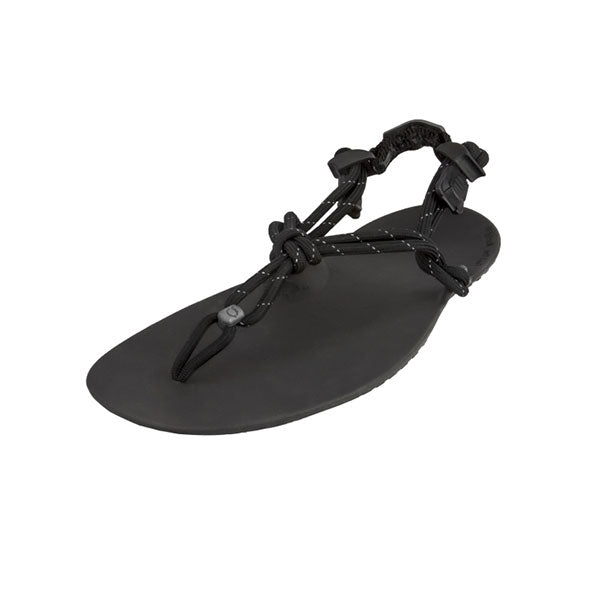 GENESIS Black