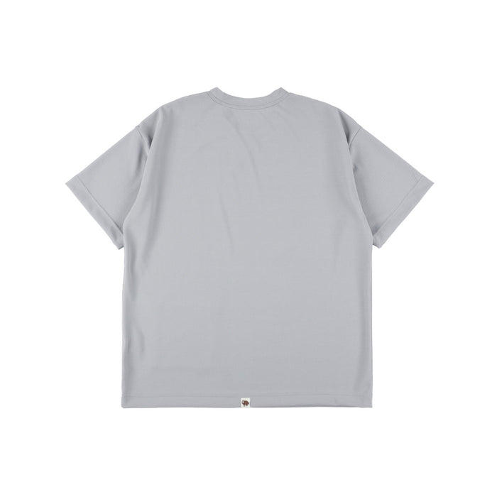 Cesca T 2 AM : Color Light Grey