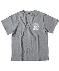 Pteranodon T Gray